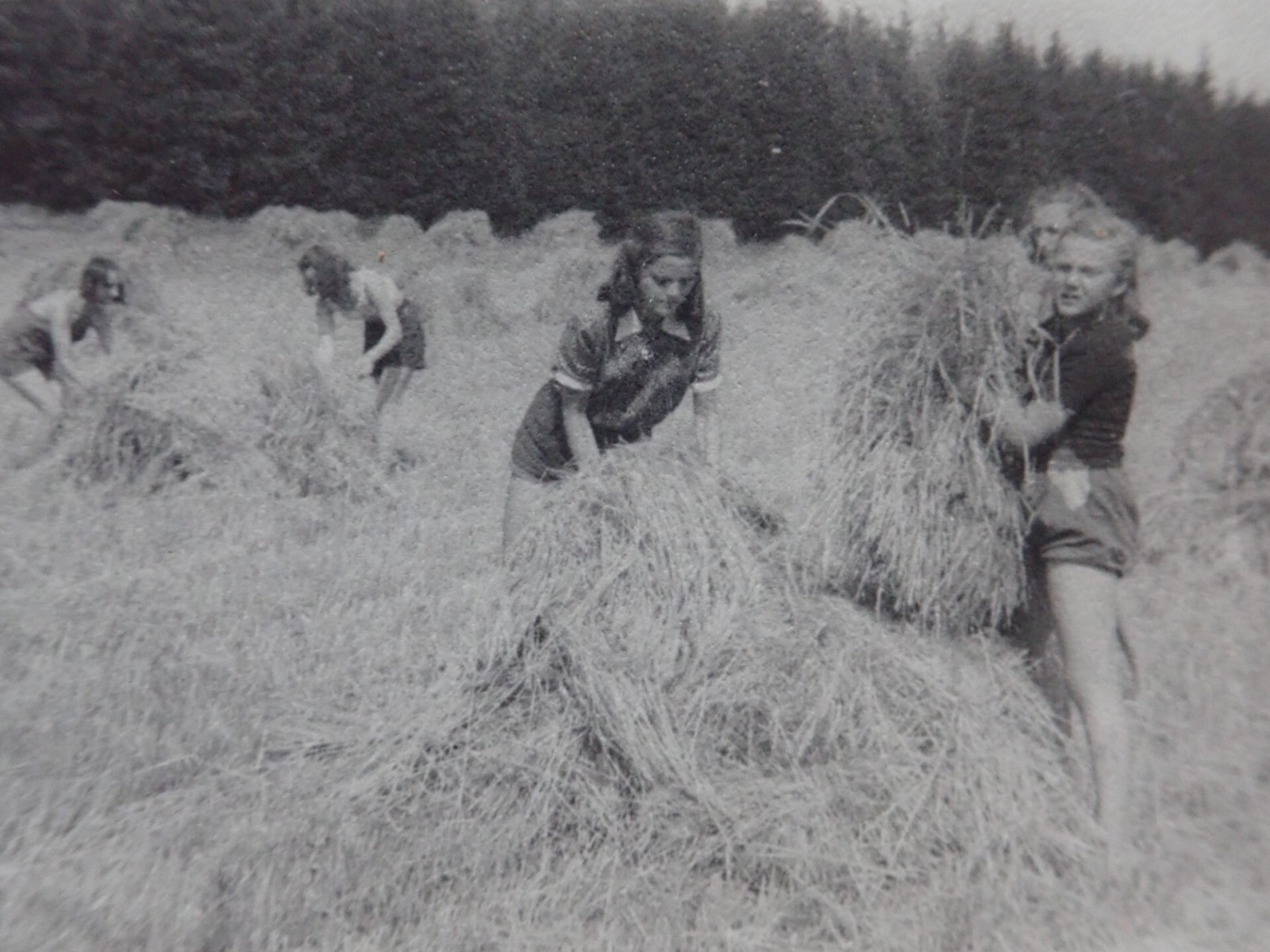 Po skon�en� 2. sv�tov� v�lky � v l�t� 1945 jsme zorganizovali ��nov�� skautsk� t�bor ve Zdo�ov� u Adr�pachu, kde byla po odsunu n�meck�ho obyvatelstva ohro�ena sklize�  na st�tn�m statku. Pouh� dva m�s�ce po obnoven� �innosti jsme byli schopni vyslat...